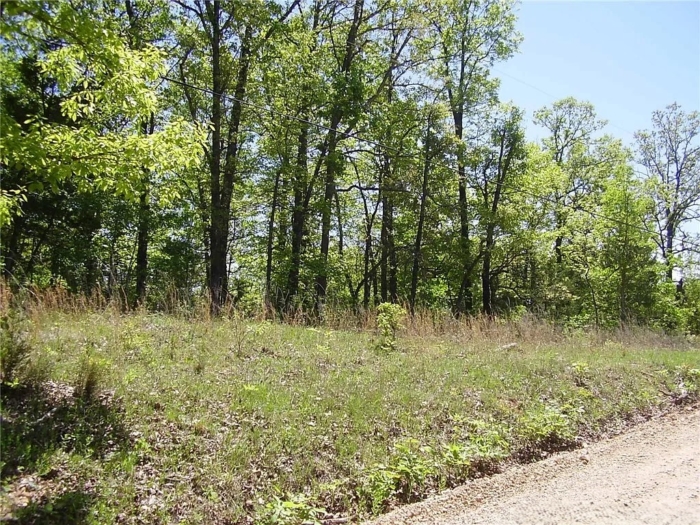 3.030 Acres, Benton County MO, Tranquil Living Close to Lake of the Ozarks, Parcel 15-5.0-22-000-003-037.000 - Image 24