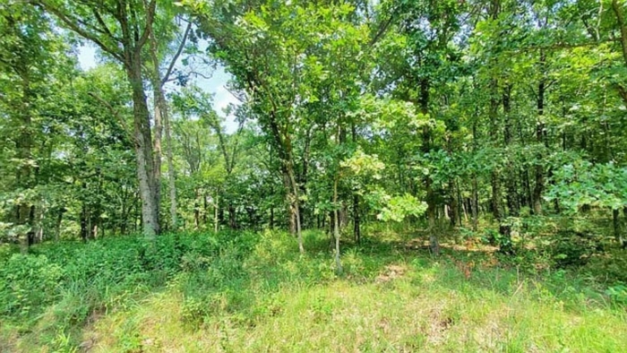 2.33 Acres, Benton County MO, Peaceful Lot Near Lake of the Ozarks, Parcel 15-7.1-26-000-002-031.000 2.33 Acres, Benton, Missouri 15-7.1-26-000-002-031.000 - Image 26