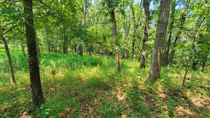 2.33 Acres, Benton County MO, Peaceful Lot Near Lake of the Ozarks, Parcel 15-7.1-26-000-002-031.000 2.33 Acres, Benton, Missouri 15-7.1-26-000-002-031.000 - Image 27