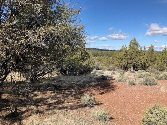 3.86 Acres, Klamath County OR, Parcel R473357 3.86 Acres, Klamath, Oregon Account 473357 / Map and Taxlot 3811-021A0-00500 - Image 5