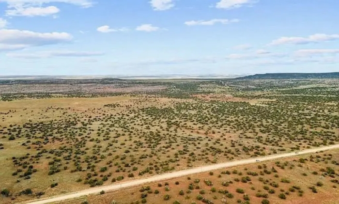 40.83 Acres, Apache County AZ, Parcel 205-78-107 - Image 6