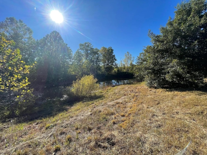 5.93 Acres, Benton County MO, Parcel 16-9.2-32-000-001-064.001 - Image 6