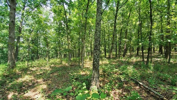 2.33 Acres, Benton County MO, Peaceful Lot Near Lake of the Ozarks, Parcel 15-7.1-26-000-002-031.000 2.33 Acres, Benton, Missouri 15-7.1-26-000-002-031.000 - Image 28
