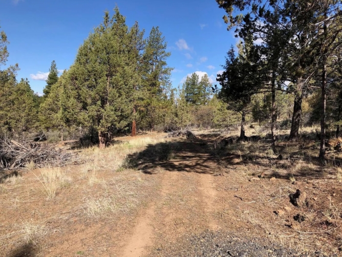 3.86 Acres, Klamath County OR, Parcel R473357 3.86 Acres, Klamath, Oregon Account 473357 / Map and Taxlot 3811-021A0-00500 - Image 6