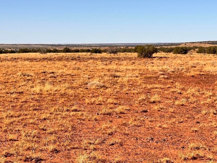 40 Acres, Apache County AZ, Parcel 211-06-015 - Image 6