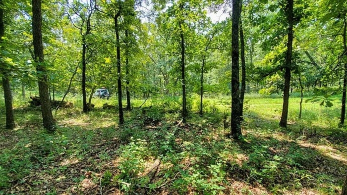 2.33 Acres, Benton County MO, Peaceful Lot Near Lake of the Ozarks, Parcel 15-7.1-26-000-002-031.000 2.33 Acres, Benton, Missouri 15-7.1-26-000-002-031.000 - Image 29