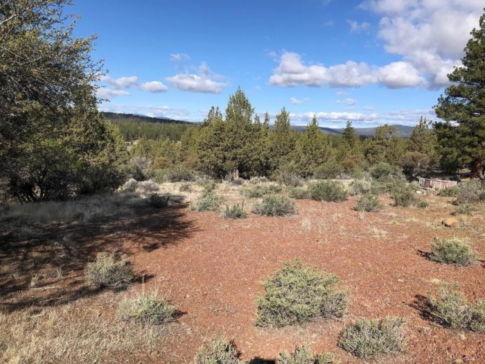 3.86 Acres, Klamath County OR, Parcel R473357 3.86 Acres, Klamath, Oregon Account 473357 / Map and Taxlot 3811-021A0-00500 - Image 7