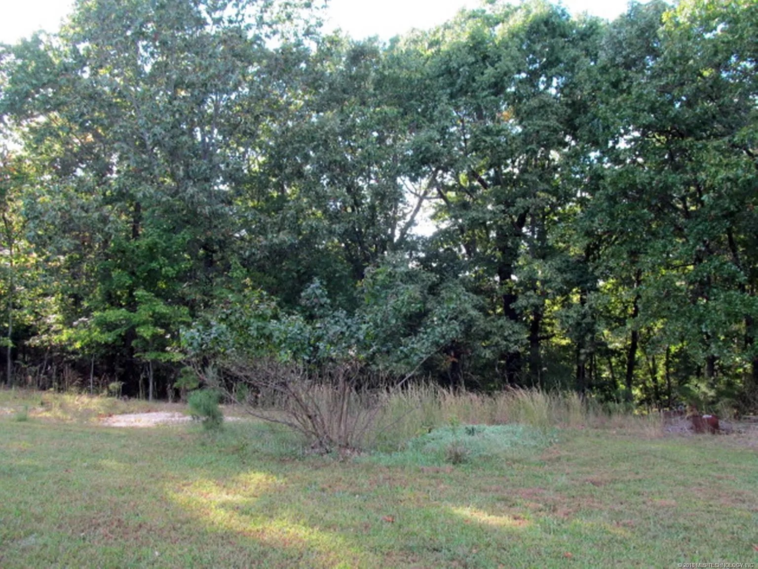 2 Acres, Delaware County OK, Parcel 210011530 2 Acres, Delaware, Oklahoma 210011530 - Image 6