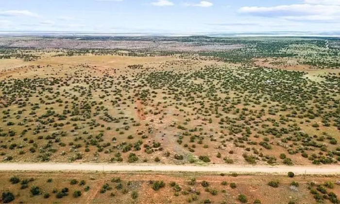 40.83 Acres, Apache County AZ, Parcel 205-78-107 - Image 8