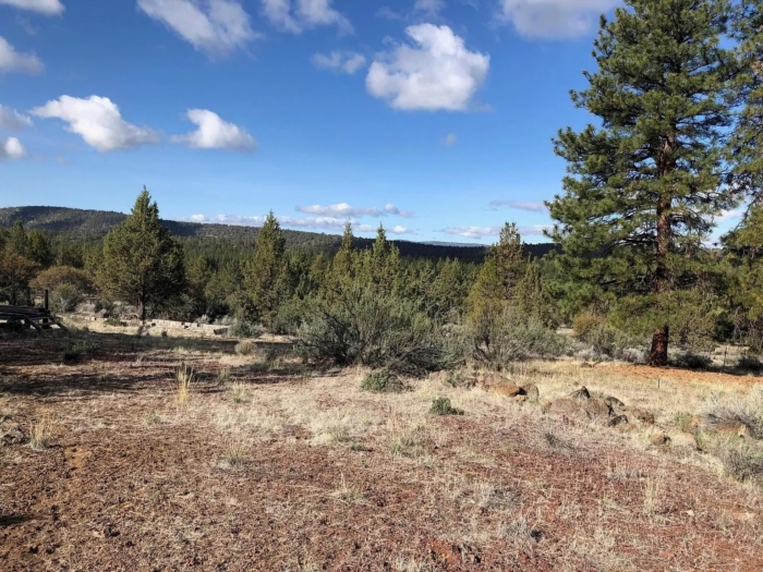 3.86 Acres, Klamath County OR, Parcel R473357 3.86 Acres, Klamath, Oregon Account 473357 / Map and Taxlot 3811-021A0-00500 - Image 8