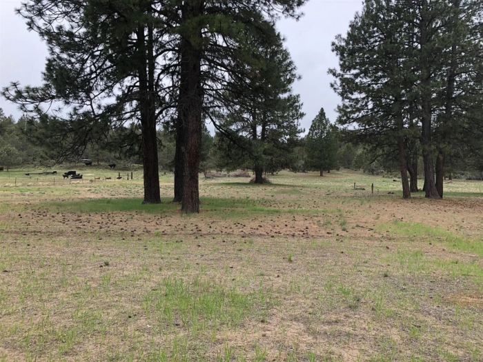 3.86 Acres, Klamath County OR, Parcel R473357 3.86 Acres, Klamath, Oregon Account 473357 / Map and Taxlot 3811-021A0-00500 - Image 9