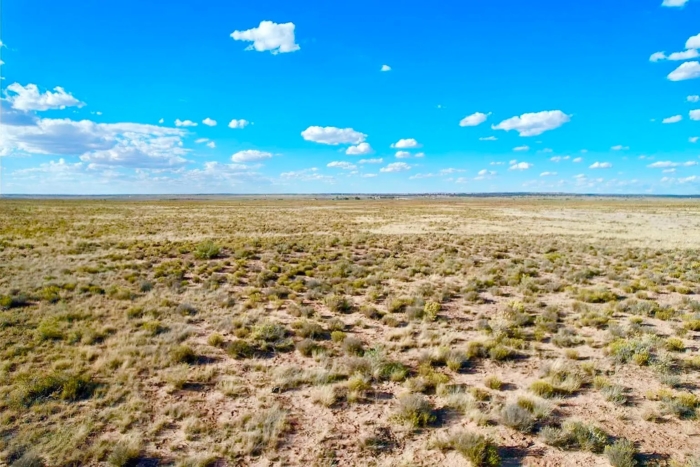 40 Acres, Apache County AZ, Parcel 211-06-015 - Image 9