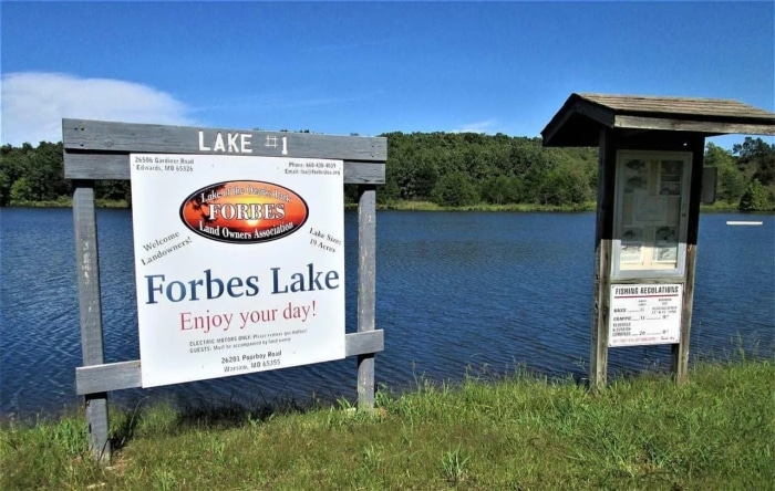 3.030 Acres, Benton County MO, Tranquil Living Close to Lake of the Ozarks, Parcel 15-5.0-22-000-003-037.000 - Image 31