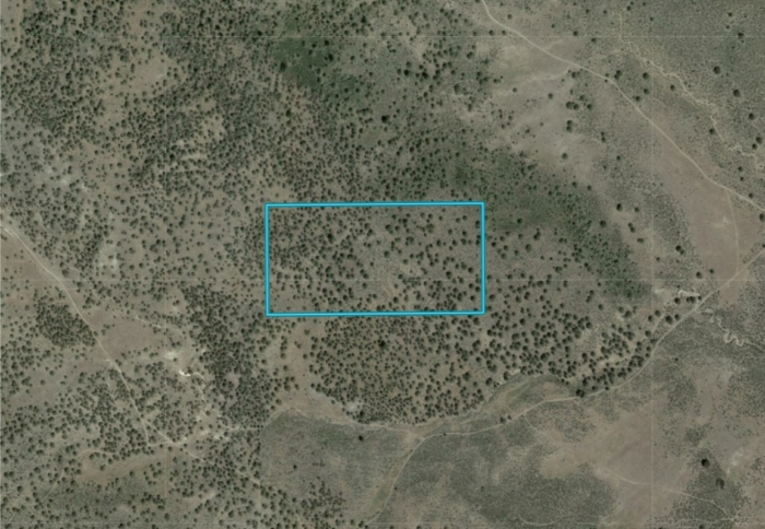 20.0 Acres. Lake County OR, Parcel 10712 20 Acres, Lake, Oregon Account 10712 / Map and Taxlot 38S19E27-00-00800 - Image 10