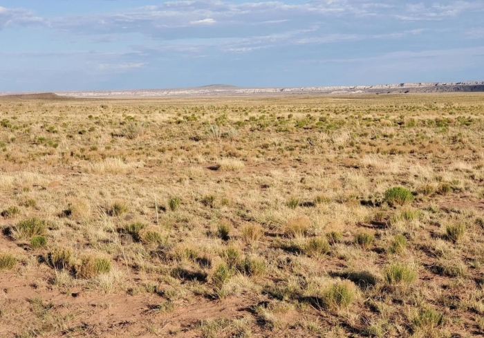 40 Acres, Apache County AZ, Parcel 205-42-009 - Image 6