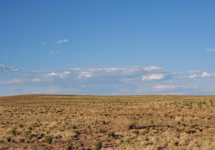 40 Acres, Apache County AZ, Parcel 205-42-009 - Image 8