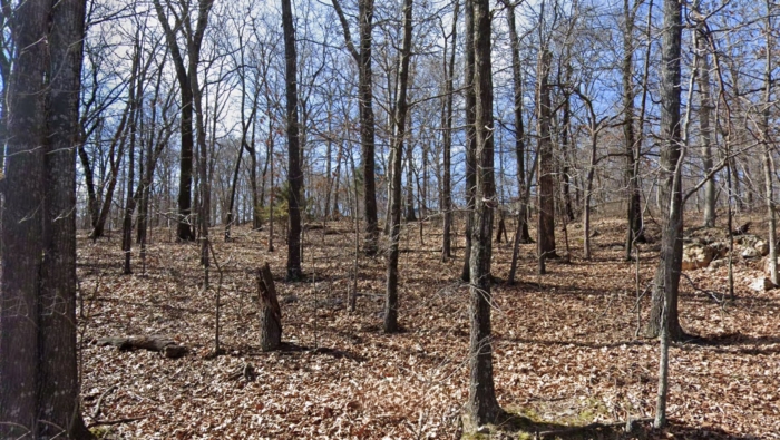 2 Acres, Delaware County OK, Parcel 210012369 2 Acres, Delaware, Oklahoma 210012369 - Image 9