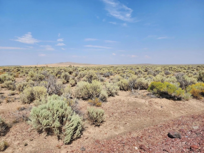 160 Acres, Lake County OR, Parcel 956 160 Acres, Lake, Oregon Account 956 / Map and Taxlot 25S19E00-00-10500