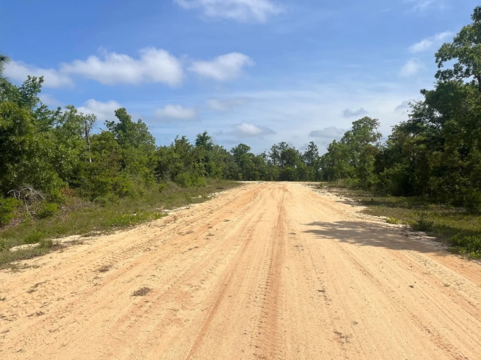 1.33 Acres, Jackson County FL, Parcel 02-2N-11-0087-1500-0060 1.33 Acres, Jackson, Florida 02-2N-11-0087-1500-0060 - Image 4