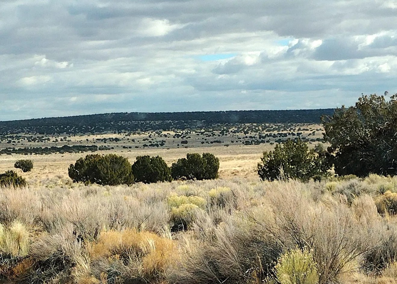 36.38 Acres, Apache County AZ, Parcel 204-69-311 36.38 Acres, Apache, Arizona 204-69-311 - Image 3