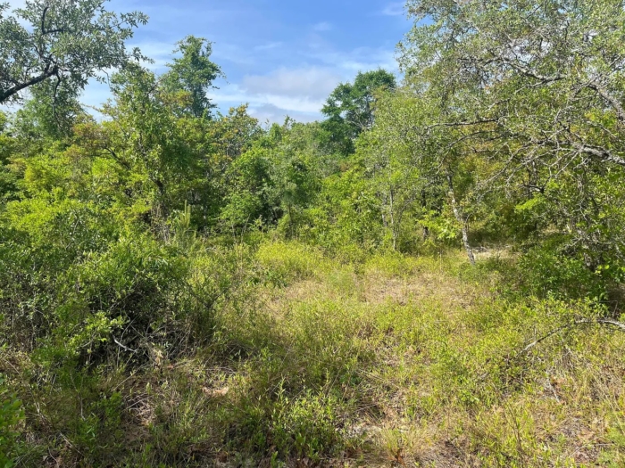 1.33 Acres, Jackson County FL, Parcel 02-2N-11-0087-1500-0060 1.33 Acres, Jackson, Florida 02-2N-11-0087-1500-0060 - Image 5