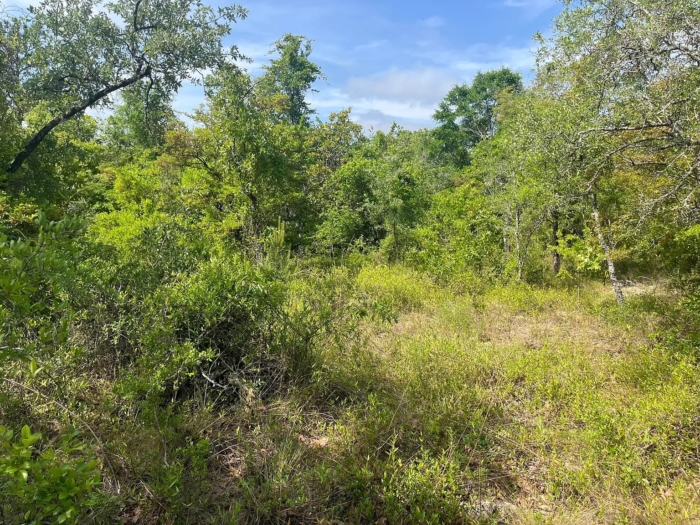 1.33 Acres, Jackson County FL, Parcel 02-2N-11-0087-1500-0060 1.33 Acres, Jackson, Florida 02-2N-11-0087-1500-0060 - Image 6