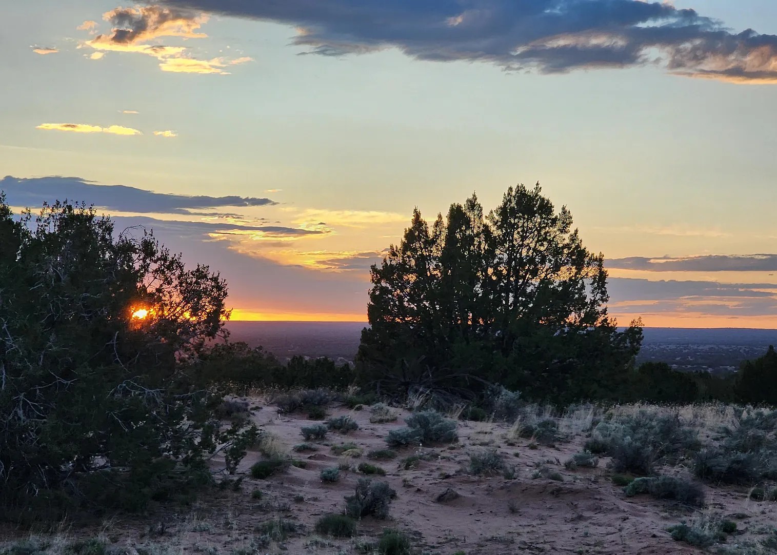 36.38 Acres, Apache County AZ, Parcel 204-69-311 36.38 Acres, Apache, Arizona 204-69-311 - Image 5