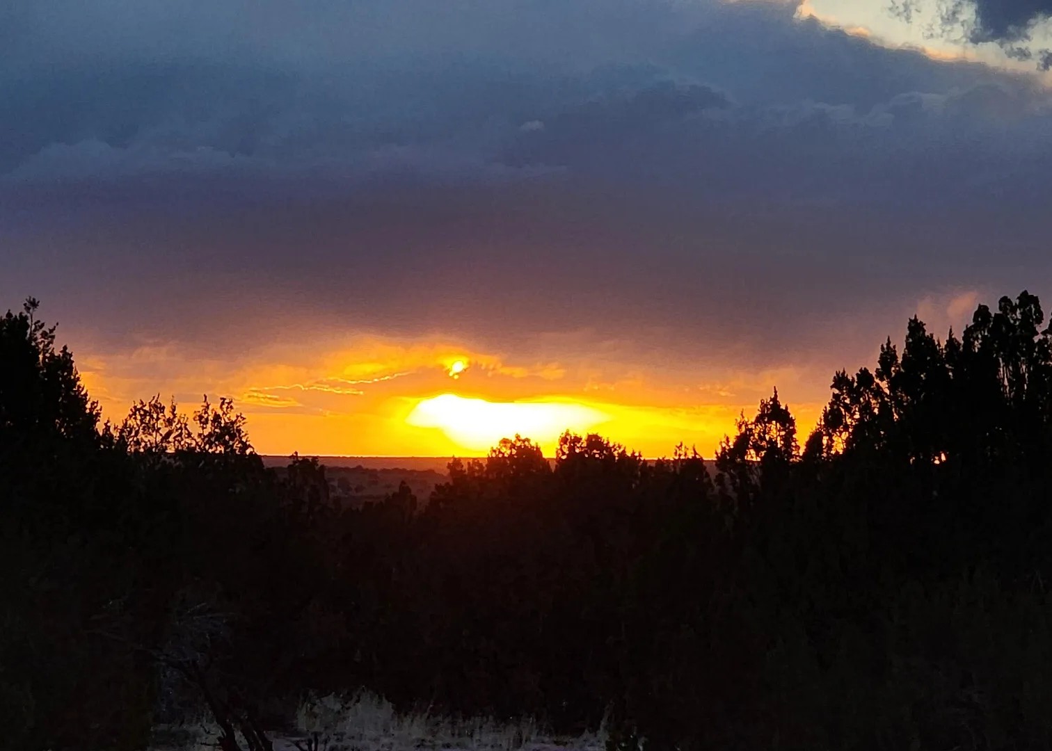 36.38 Acres, Apache County AZ, Parcel 204-69-311 36.38 Acres, Apache, Arizona 204-69-311 - Image 7