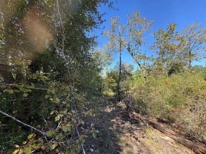 1.33 Acres, Jackson County FL, Parcel 02-2N-11-0087-1500-0060 1.33 Acres, Jackson, Florida 02-2N-11-0087-1500-0060 - Image 9