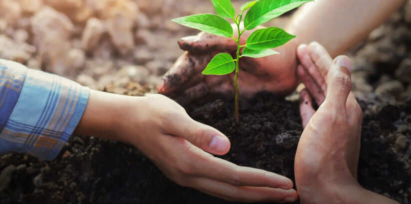 Conservation and Stewardship Preserving Our Natural Heritage Resource