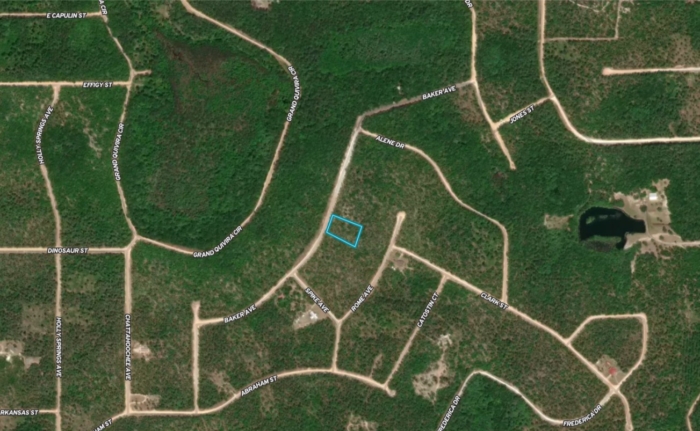 1.33 Acres, Jackson County FL, Parcel 02-2N-11-0087-1500-0060 1.33 Acres, Jackson, Florida 02-2N-11-0087-1500-0060 - Image 13