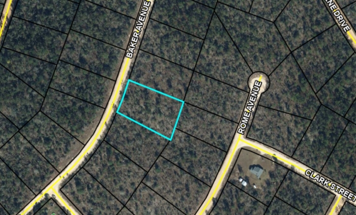 1.33 Acres, Jackson County FL, Parcel 02-2N-11-0087-1500-0060 1.33 Acres, Jackson, Florida 02-2N-11-0087-1500-0060 - Image 20