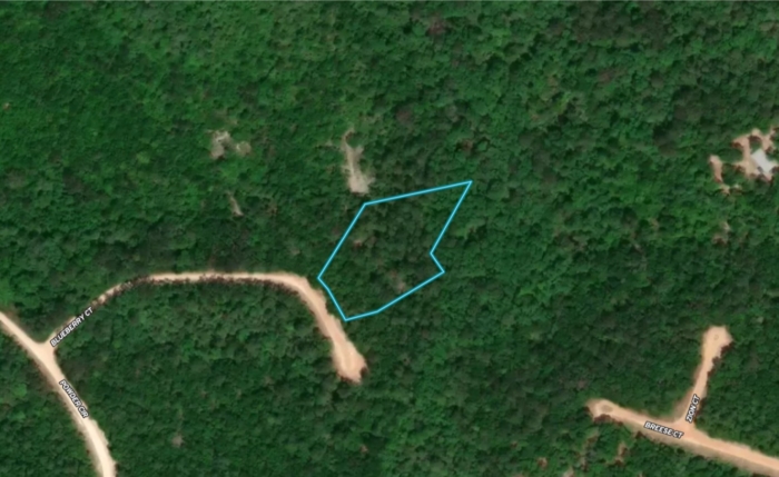 1.51 Acres, Jackson County FL, Parcel 02-2N-11-0095-2750-0480 1.51 Acres, Jackson, Florida 02-2N-11-0095-2750-0480 - Image 11
