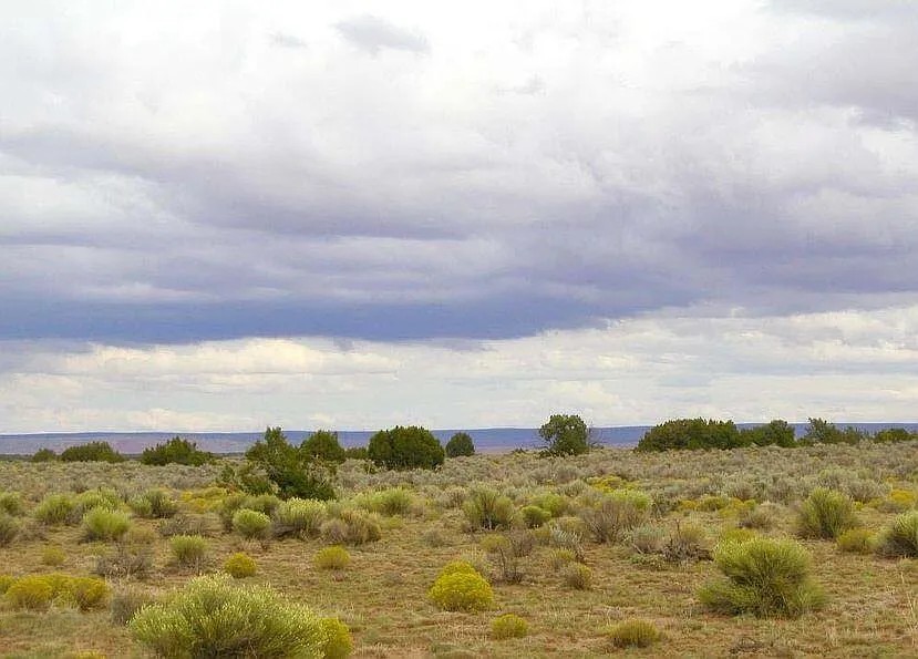 40.65 Acres, Apache County AZ Parcel 205-78-100 40.65 Acres, Apache, Arizona 205-78-100 - Image 2