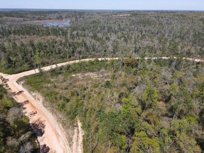 1.51 Acres, Jackson County FL, Parcel 02-2N-11-0095-2750-0480 1.51 Acres, Jackson, Florida 02-2N-11-0095-2750-0480 - Image 2