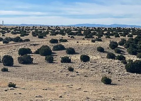 36.5 Acres, Apache County AZ, Parcel 108-56-086 36.5 Acres, Apache, Arizona 108-56-086 - Image 2