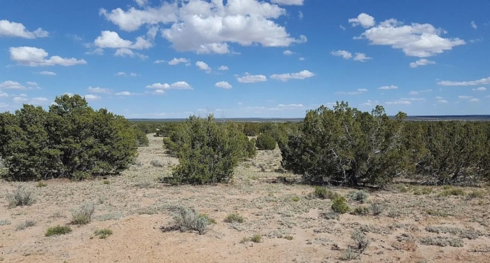 19.72 Acres, Apache County AZ, Parcel 205-60-006A 19.72 Acres, Apache, Arizona 205-60-006A - Image 2