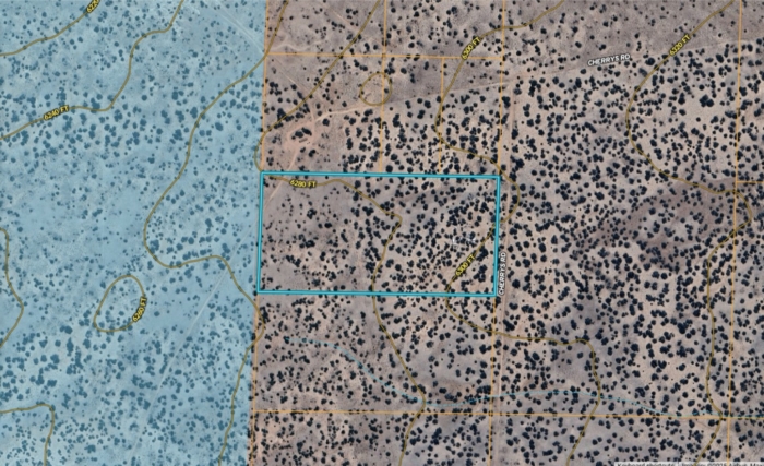19.72 Acres, Apache County AZ, Parcel 205-60-006A 19.72 Acres, Apache, Arizona 205-60-006A - Image 9