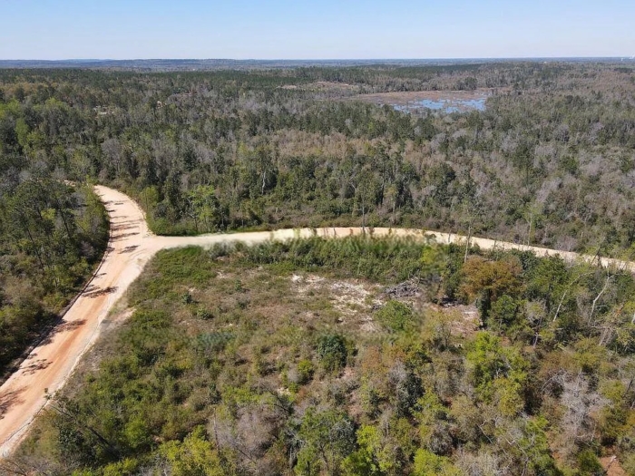 1.51 Acres, Jackson County FL, Parcel 02-2N-11-0095-2750-0480 1.51 Acres, Jackson, Florida 02-2N-11-0095-2750-0480 - Image 3