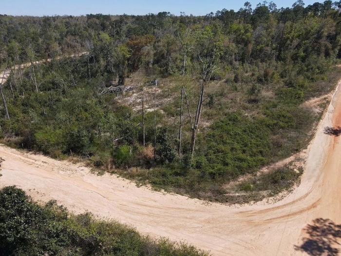 1.51 Acres, Jackson County FL, Parcel 02-2N-11-0095-2750-0480 1.51 Acres, Jackson, Florida 02-2N-11-0095-2750-0480 - Image 4