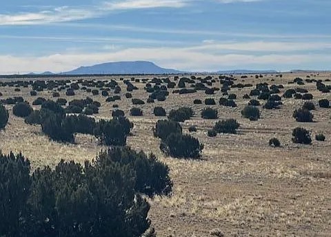 36.5 Acres, Apache County AZ, Parcel 108-56-086 36.5 Acres, Apache, Arizona 108-56-086 - Image 4