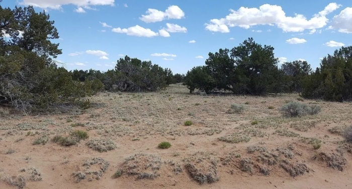 19.72 Acres, Apache County AZ, Parcel 205-60-006A 19.72 Acres, Apache, Arizona 205-60-006A - Image 4