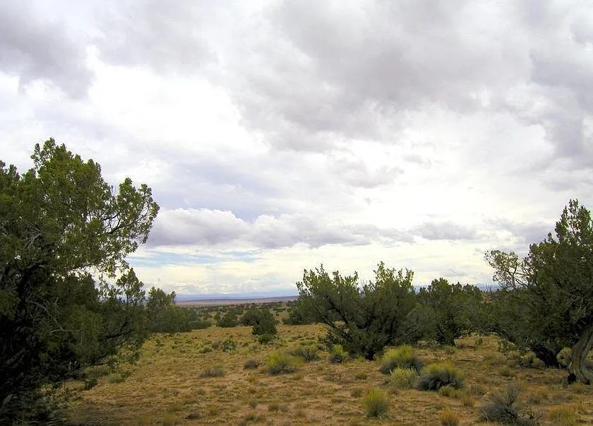 40.65 Acres, Apache County AZ Parcel 205-78-100 40.65 Acres, Apache, Arizona 205-78-100 - Image 5