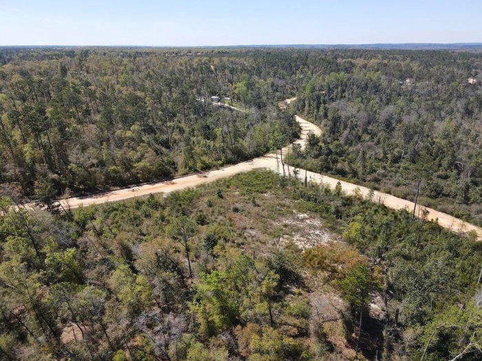 1.51 Acres, Jackson County FL, Parcel 02-2N-11-0095-2750-0480 1.51 Acres, Jackson, Florida 02-2N-11-0095-2750-0480 - Image 5