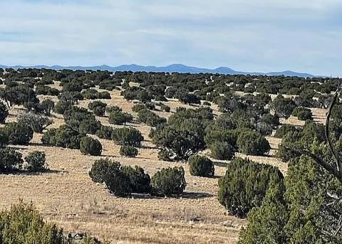 36.5 Acres, Apache County AZ, Parcel 108-56-086 36.5 Acres, Apache, Arizona 108-56-086 - Image 5