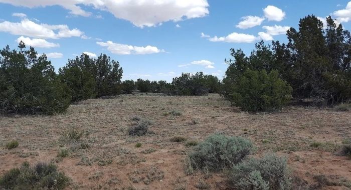 19.72 Acres, Apache County AZ, Parcel 205-60-006A 19.72 Acres, Apache, Arizona 205-60-006A - Image 5