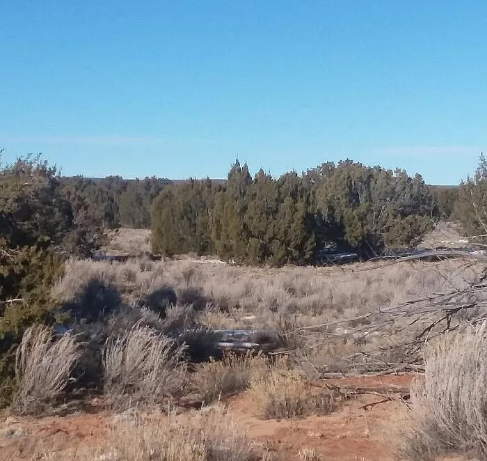 40.65 Acres, Apache County AZ Parcel 205-78-100 40.65 Acres, Apache, Arizona 205-78-100 - Image 7