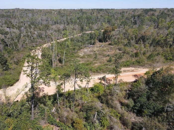 1.51 Acres, Jackson County FL, Parcel 02-2N-11-0095-2750-0480 1.51 Acres, Jackson, Florida 02-2N-11-0095-2750-0480 - Image 7