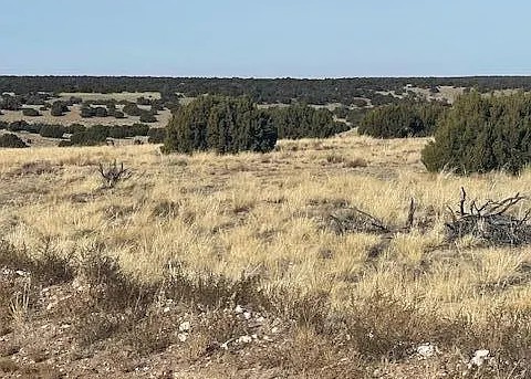 36.5 Acres, Apache County AZ, Parcel 108-56-086 36.5 Acres, Apache, Arizona 108-56-086 - Image 7