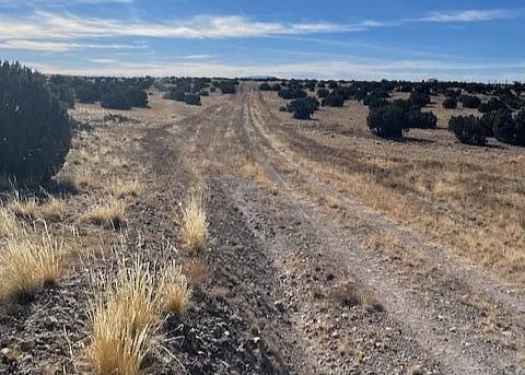 36.5 Acres, Apache County AZ, Parcel 108-56-086 36.5 Acres, Apache, Arizona 108-56-086 - Image 9